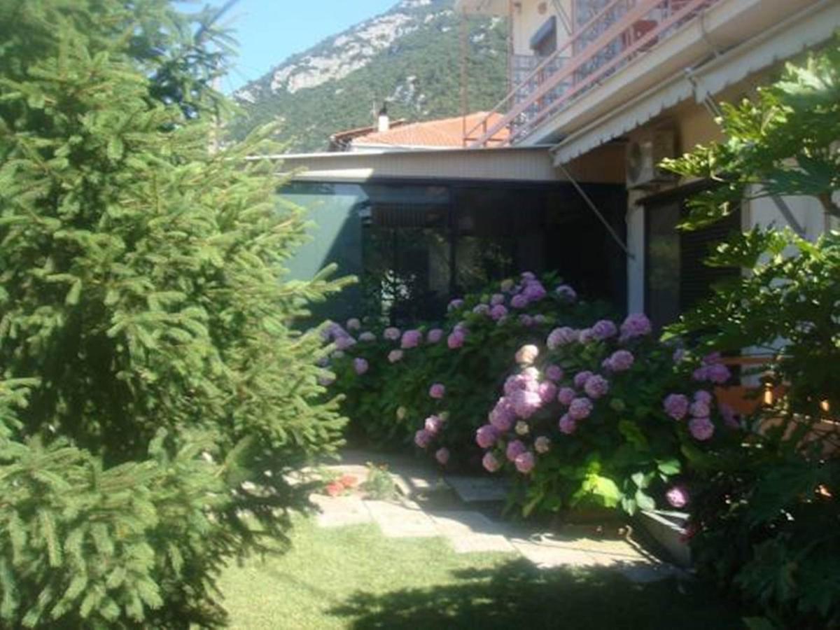 Dimitra Hotel Kaména Vúrla Kültér fotó